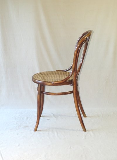 Thonet chair N°19 from 1890- bentwood - manual caning new