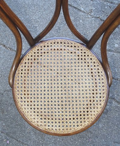 Thonet chair N°19 from 1890- bentwood - manual caning new