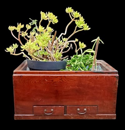 Old Japanese hibachi / indoor planter/19th century