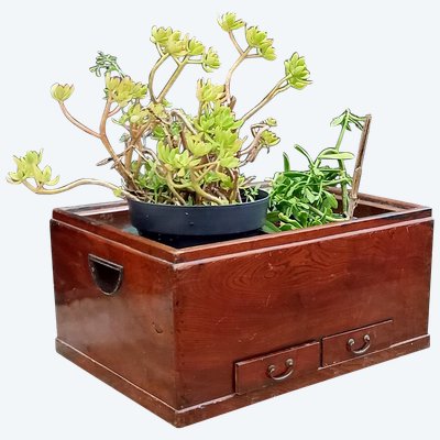 Old Japanese hibachi / indoor planter/19th century