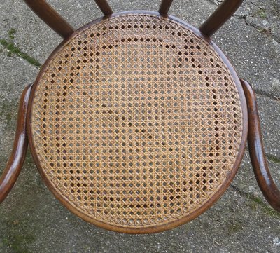 Poltrona Le Corbusier N°749 circa 1925, di Cambier (Belgio) canné- no Thonet