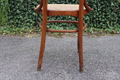 Pair De Chaises en Bois Courbé De Kohn Modèle 33