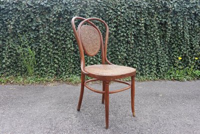 Pair De Chaises en Bois Courbé De Kohn Modèle 33