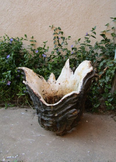 Blumenkasten