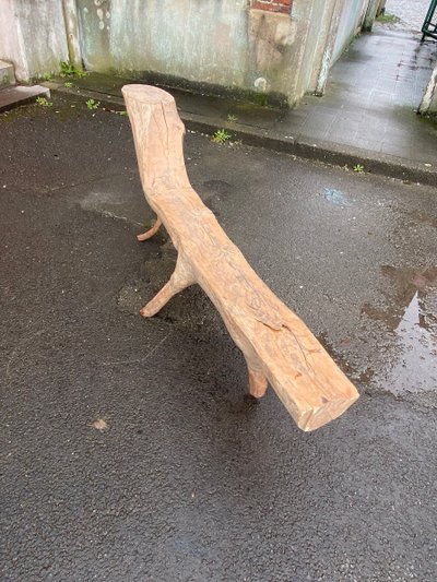Organic Bench Made from a Carved Tree Branch, Circa 1970