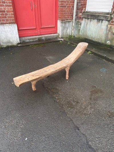 Organic Bench Made from a Carved Tree Branch, Circa 1970