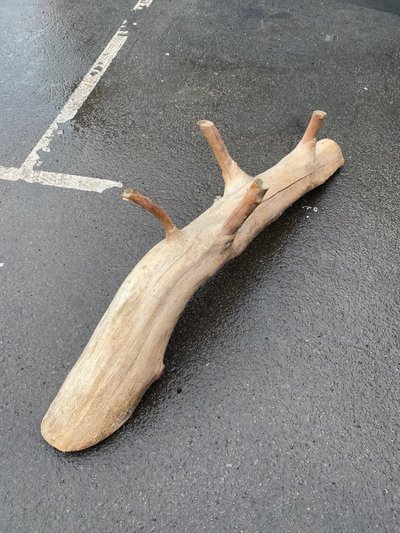 Organic Bench Made from a Carved Tree Branch, Circa 1970