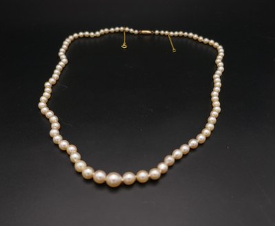 Collier De Perles De Culture En Chute, Fermoir Et Chaînette De Sécurité, 18 Carats.