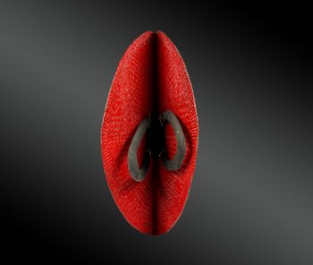 CHAPEAU d’ARME plat de samouraï Jingasa De type Nirayama - Japon - Fin de l’ère Meiji (1868-1912)