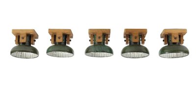 Guillerme Et Chambron , and Boleslav DANIKOWSKI Exceptional Series Of 5 Ceiling Lights