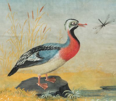 Peintre lombard de la fin du XVIIIe/début du XIXe siècle (style Raineri) "Frégate avec Libellule"