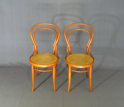 2 sedie da bistrot Hofmann N°14 con bastoni No Thonet