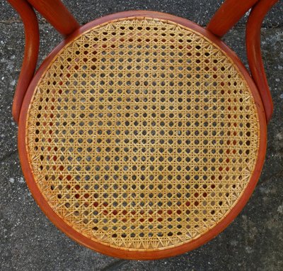 2 sedie da bistrot Hofmann N°14 con bastoni No Thonet
