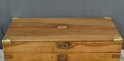 Tronco di canfora, India - Fine XIX secolo