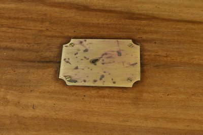 Tronco di canfora, India - Fine XIX secolo