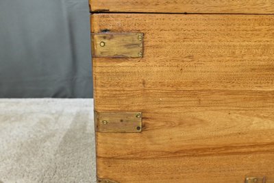 Tronco di canfora, India - Fine XIX secolo