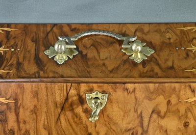 Walnut burl letter box - Early 20th century