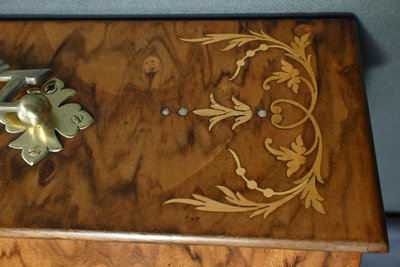 Walnut burl letter box - Early 20th century