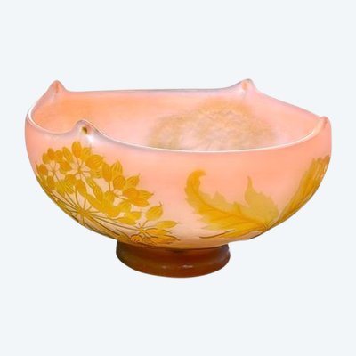 Tazza Emile Gallé "Ombelles" in stile Art Nouveau