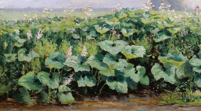 Gérard VAN LUPPEN (att. a) 1834-1891 Paesaggio con piante a Modave (Belgio), dipinto, 1883