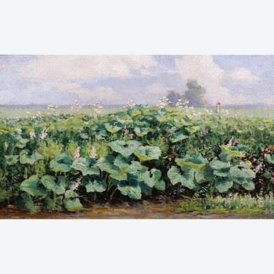 Gérard VAN LUPPEN (att. a) 1834-1891 Paesaggio con piante a Modave (Belgio), dipinto, 1883