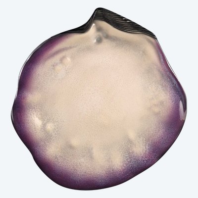 Grande piatto in ceramica Pol CHAMBOST 45 cm