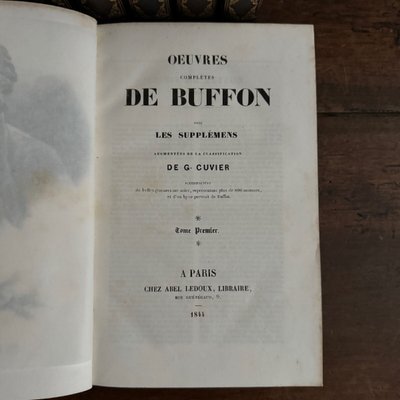 Opere complete di Buffon 7 volumi con incisioni