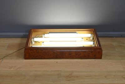 Coppia di vetrine in ottone e olmo – 1950