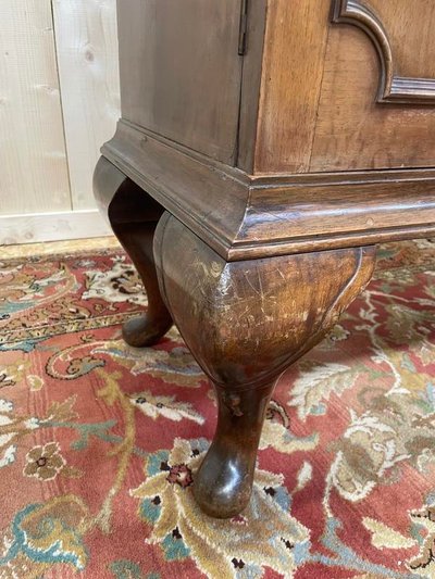 English -style showcase library in walnut 1900