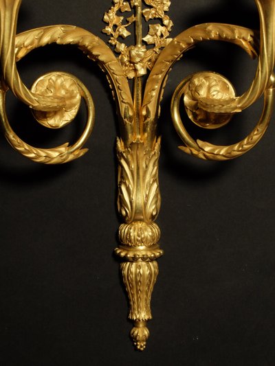 Coppia di applique in bronzo dorato in stile Luigi XVI 
