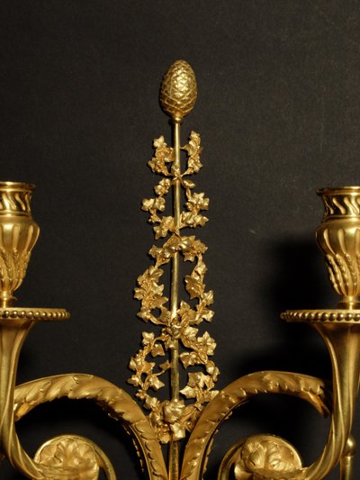 Coppia di applique in bronzo dorato in stile Luigi XVI 