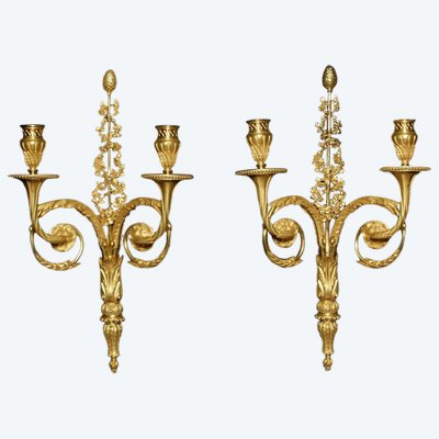 Coppia di applique in bronzo dorato in stile Luigi XVI 