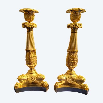 Coppia di candelabri del XIX secolo in bronzo cesellato e dorato, decorati con zampe di leone.