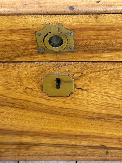 Baule coloniale in legno di canfora marina del XIX secolo