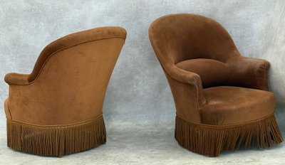 Coppia di rospi