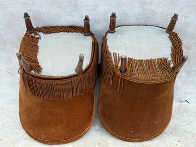 Coppia di rospi