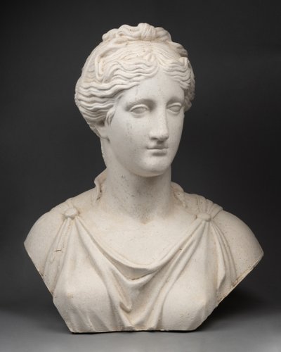 Busto in gesso, stile antico, fine XIX secolo 