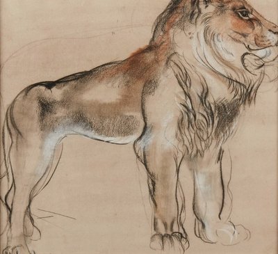 Drawing by Camille ROCHE