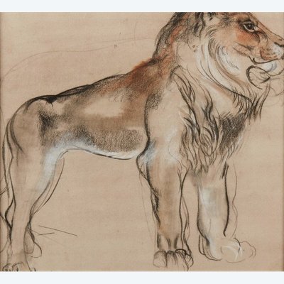 Drawing by Camille ROCHE