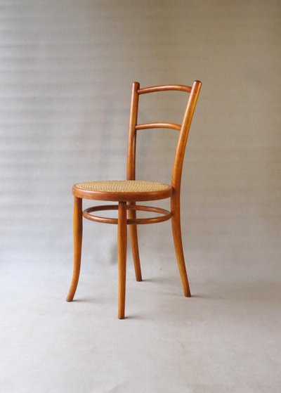 Sedia THONET N° 142- 1/2 del 1905 con rivestimento in canna da zucchero