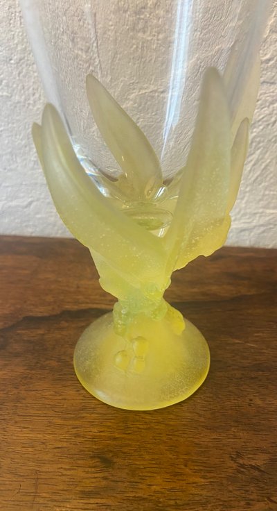 Daum Mimosas
