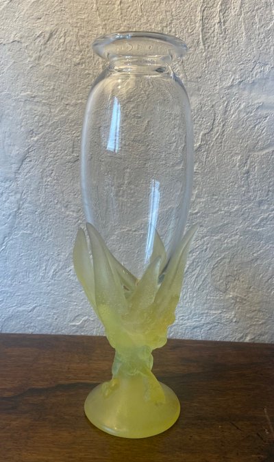 Daum Mimosas
