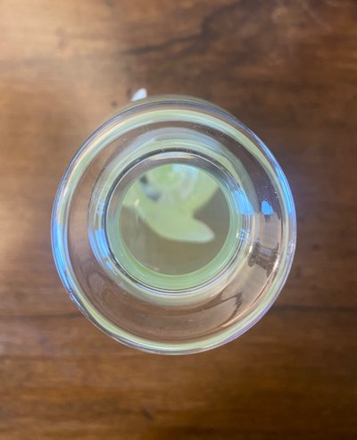 Daum Mimosas