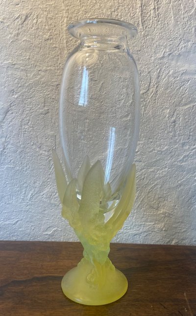 Daum Mimosas