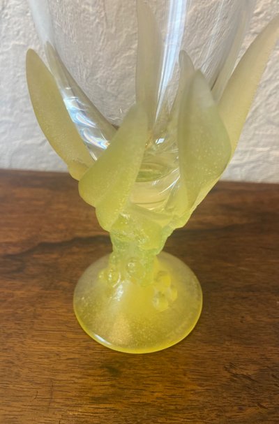 Daum Mimosas