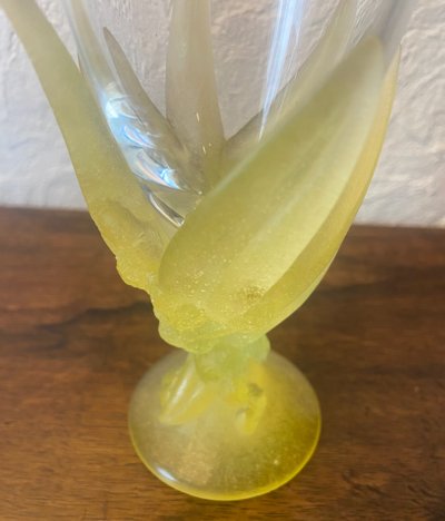 Daum Mimosas