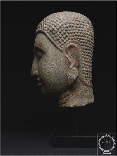 Ex Regno del Siam, scuola di Ayutthaya, XV-XVI secolo, Grande testa di Buddha in pietra
