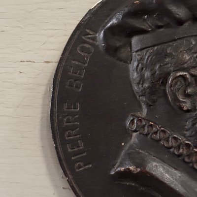Tondo medallion by Charles Filleul Pierre Belon naturalist 20th century