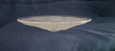 R.LALIQUE cup, shell model.p of