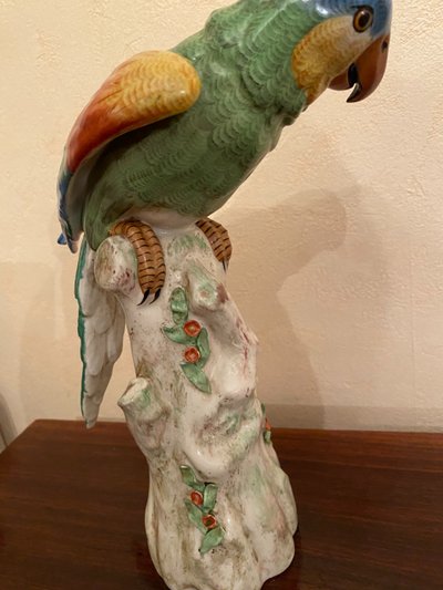Pappagallo di porcellana